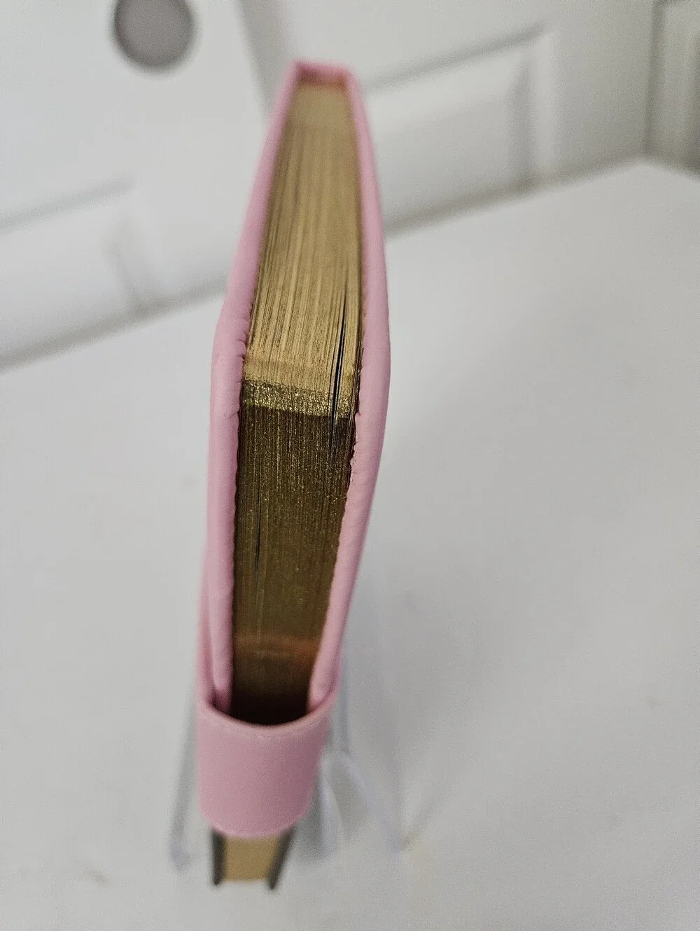 Juicy Couture NWT Journal